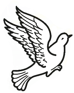 Pomba junto ao coração